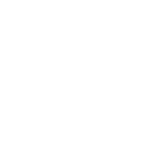Navigator