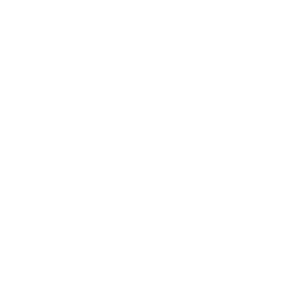 Priority Health Logo