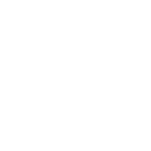 Selective Logo