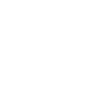 Berkshire Hathaway Guard logo white