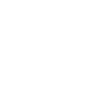 Conifer logo white