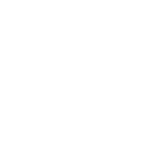 Liberty Mutual logo white