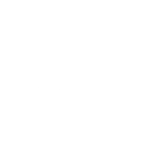 ProAssurance Logo white