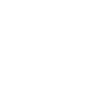 Professional Solutions logo white