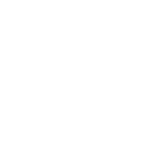 White Allianz Logo