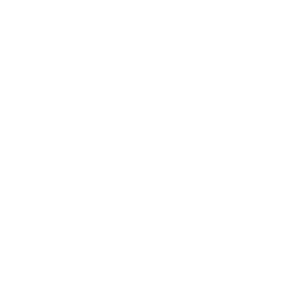 White American Family Logo