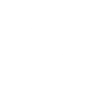 White American Financial Group Logo