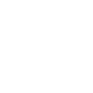 White Arden Logo