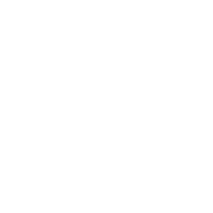 White Auto Owners Logo