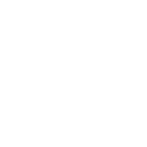 White Banner Life Logo
