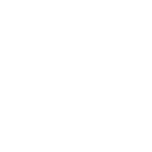 White Brookfield Logo