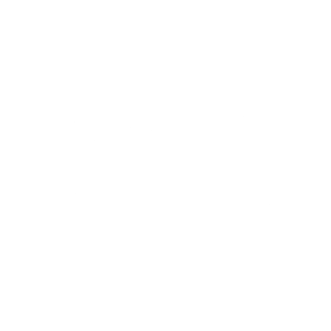 White EMC Logo