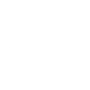 White Fairfax Financial Logo