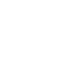 White Fidelity Security Logo