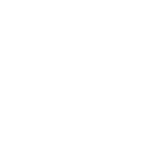White Highmark Logo