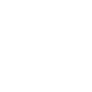 White Honeycomb Logo