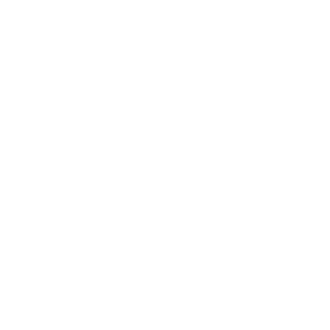 White Lincoln Financial Logo