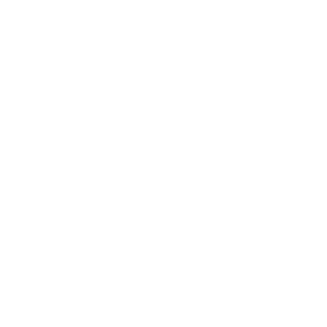 White Lio Logo