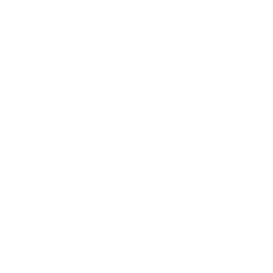 White New York Life Logo