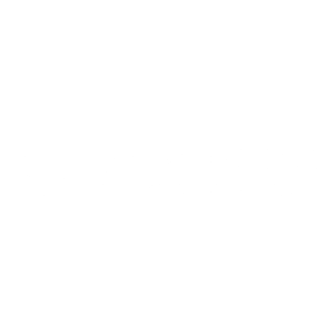 White Renaissance Logo