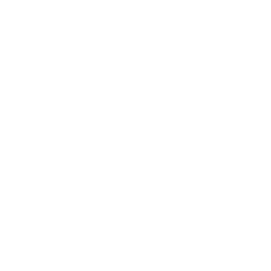 White Sentry Logo