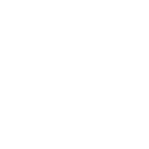 White Tokio Marine Logo