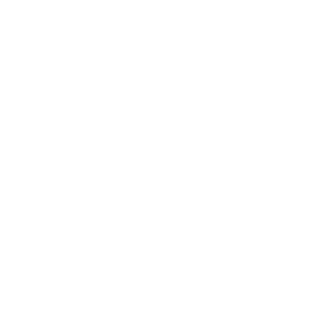White VSP Logo