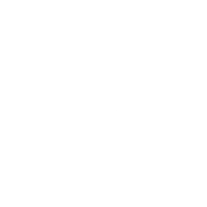 White WR Berkley Logo