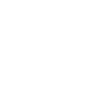 White Western National Logo